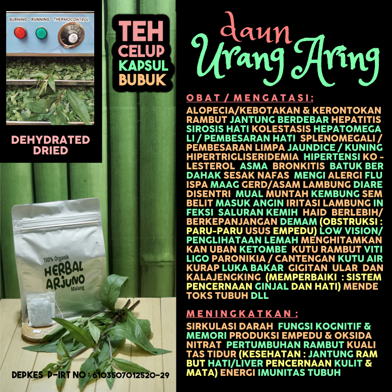 

Dehydrated Dried Teh Celup Kapsui Bubuk Daun Urang Aring Obat Alopecia Jantung Berdebar Liver Hepatitis Sirosis Hati Limpa Asma Bronkitis ISPA PPOK Kaki Gajah Maag Asam Lambung Kebotakan Menghitamkan Rambut Uban Kutu Ketombe Vitiligo Cantengan Herbal Alam