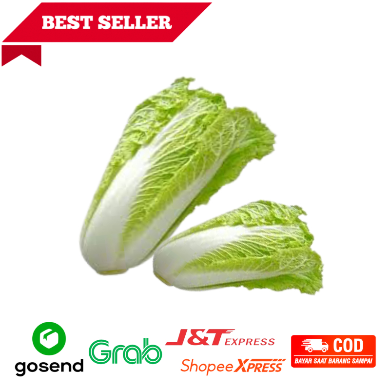 

Pecay, Sawi Putih, 500gr, sayuran sehat segar Bandung