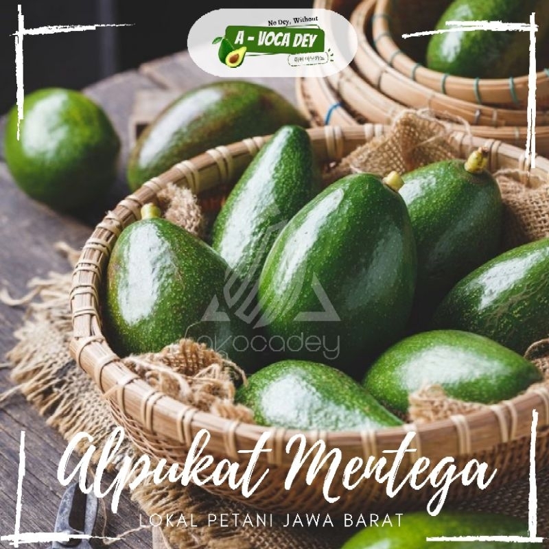 

Alpukat Mentega Avocadey Bergaransi