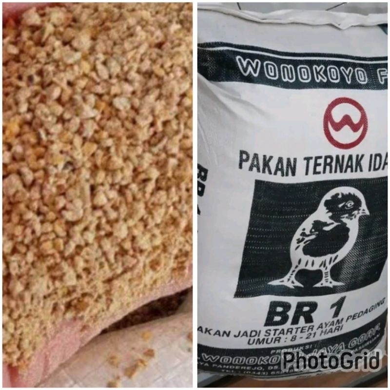 BR 1 WONOKOYO PUR AYAM PAKAN AYAM STARTER PEDAGING