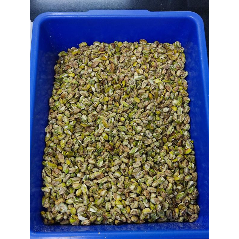 

kacang pistachio kupas