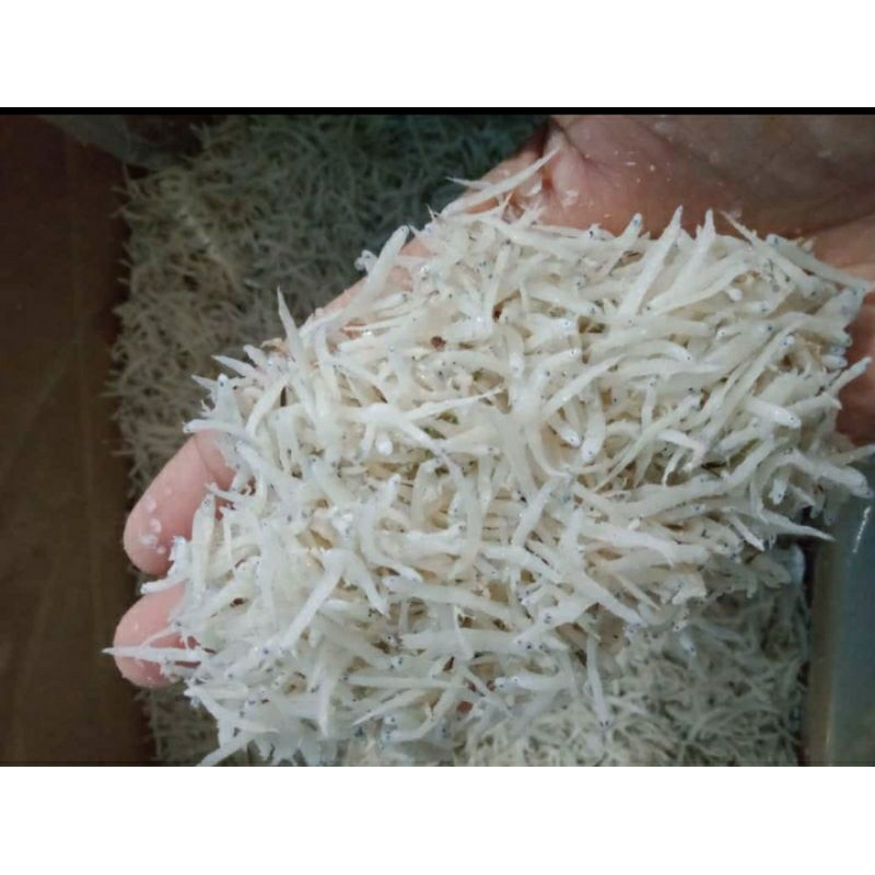 

Teri Nasi Medan Super 100 gram