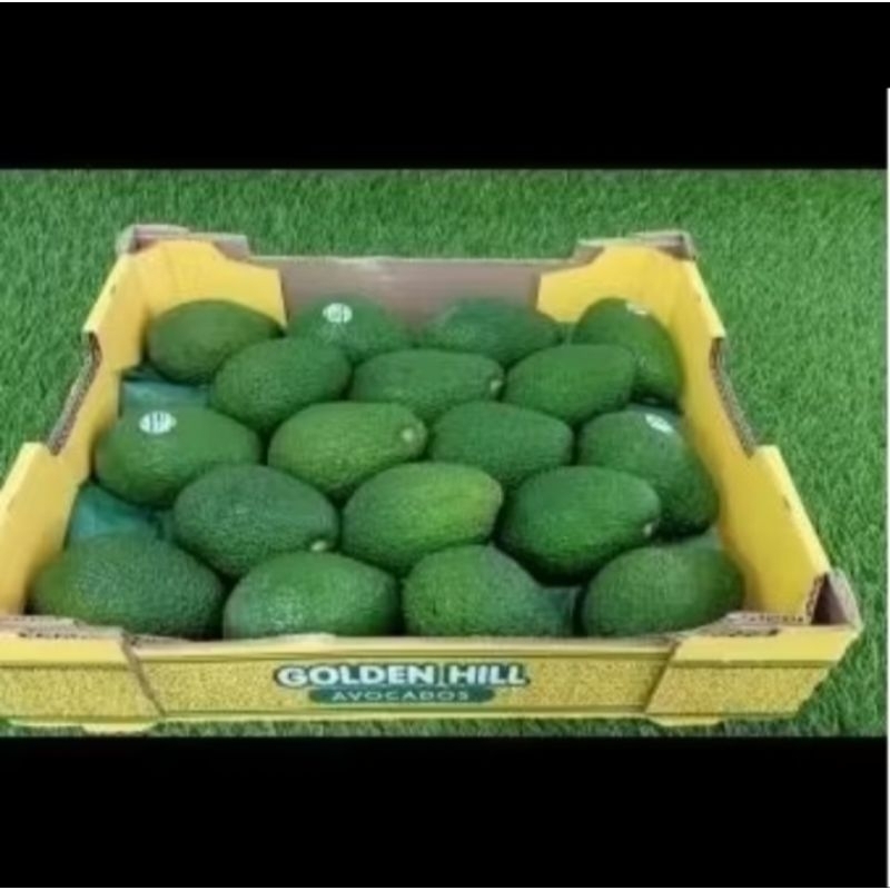 

AVOCADO HASS AUSTRALIA 1 KG
