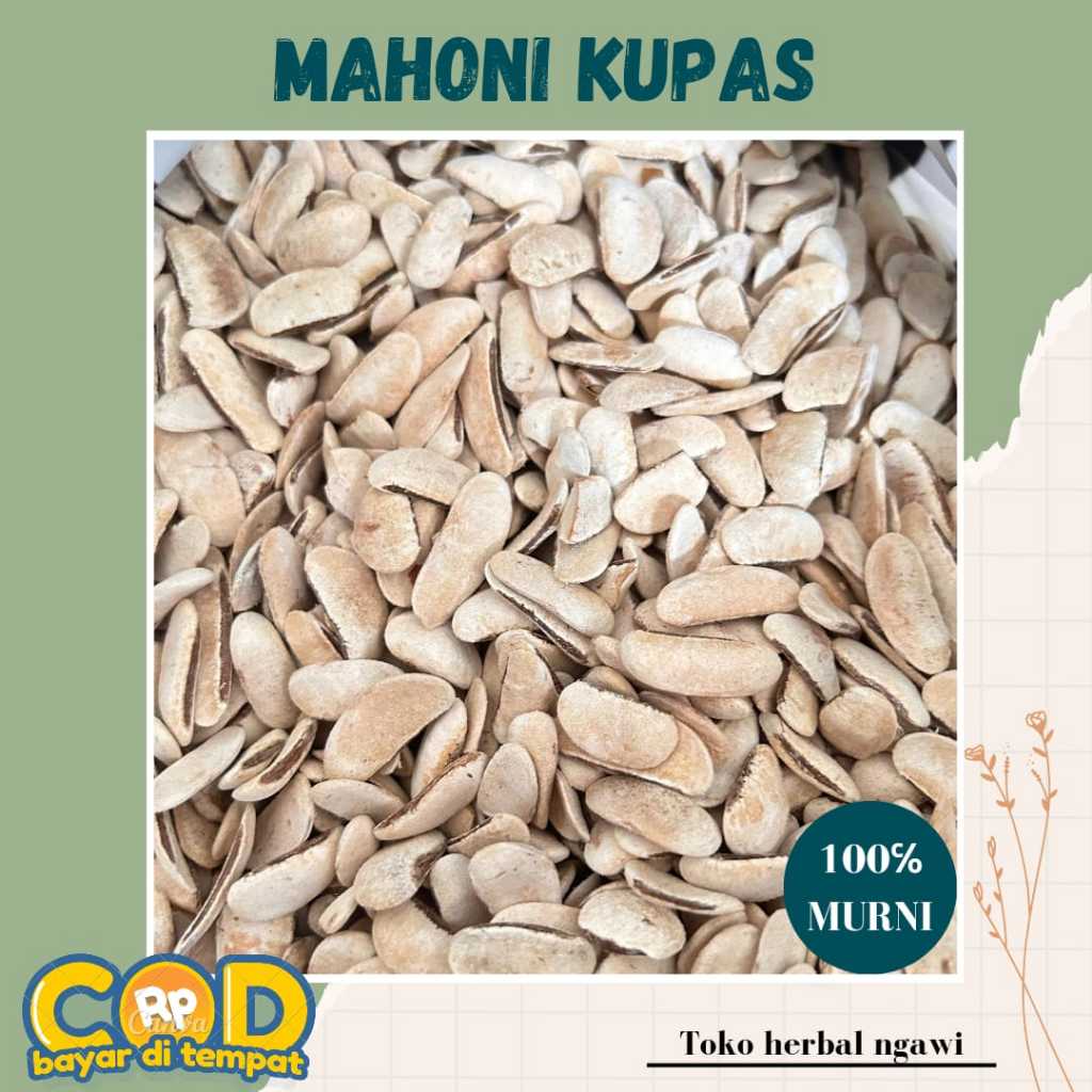

BIJI MAHONI KUPAS 100 GR