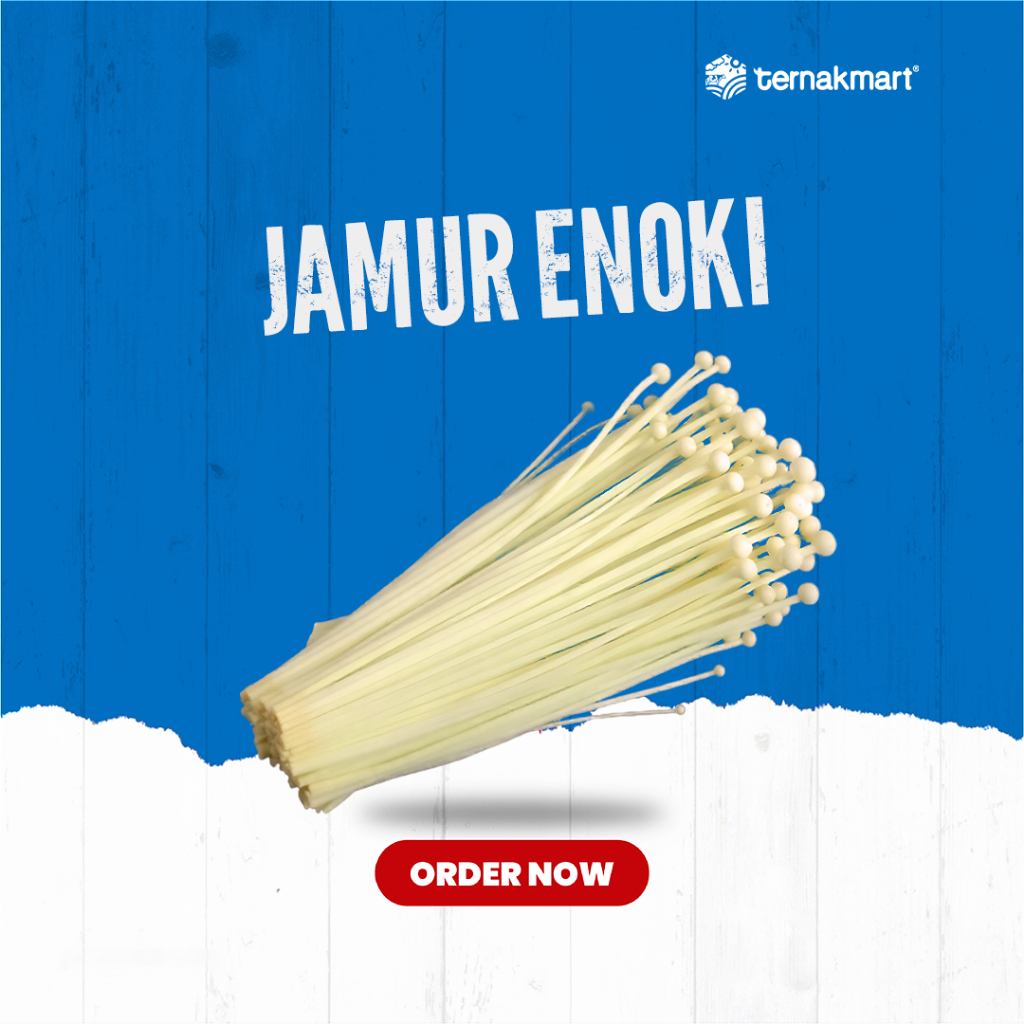 

TERNAKMART Jamur Enoki Segar Fresh 1 Pack 100gr