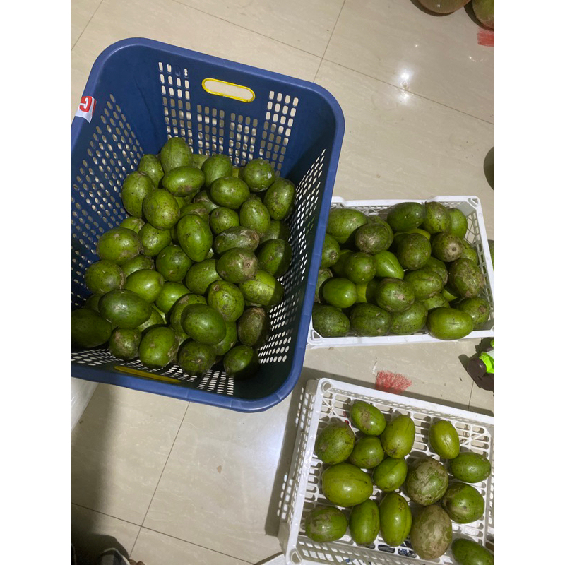 

buah kedondong bangkok 1kg