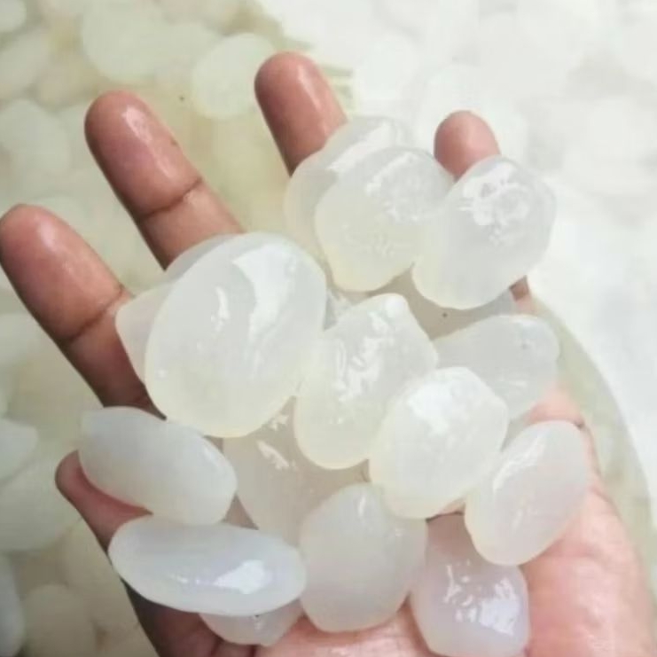 

KOLANG KALING CARULUK MUDA 500 G