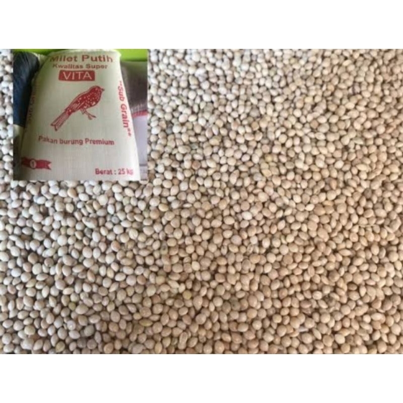 Milet Vita putih pakan burung labet kutut derkuku puter parkit