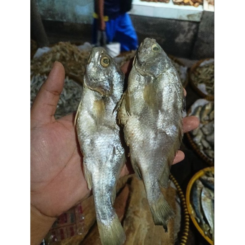 

IKAN ASIN SILEMAN