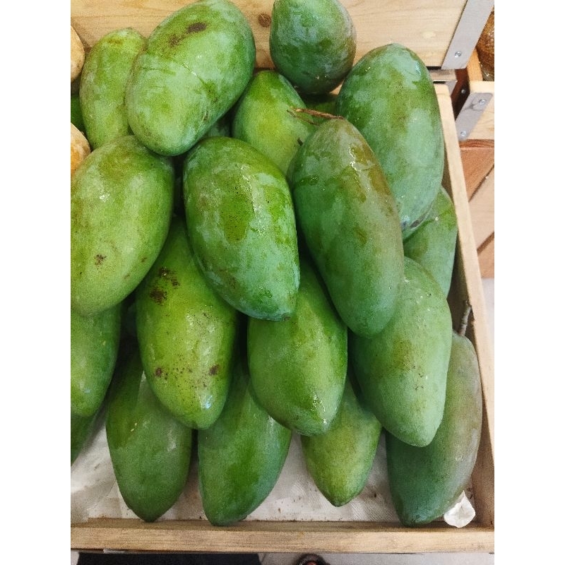 

Mangga kiojay super 1kg