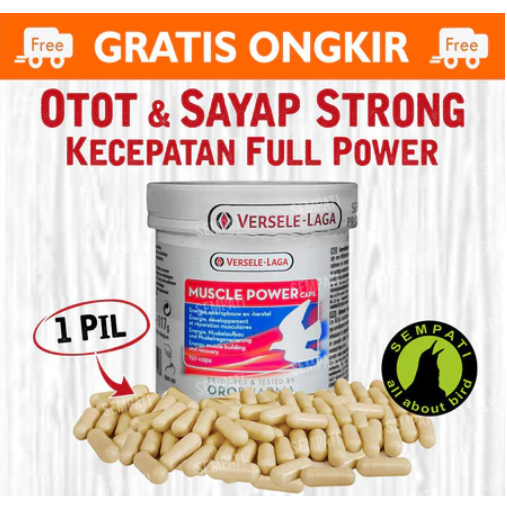 MUSCLE POWER VERSELE LAGA PIL KAPSUL VITAMIN OBAT OTOT BURUNG MERPATI SUPLEMEN RECOVERY PIGEON