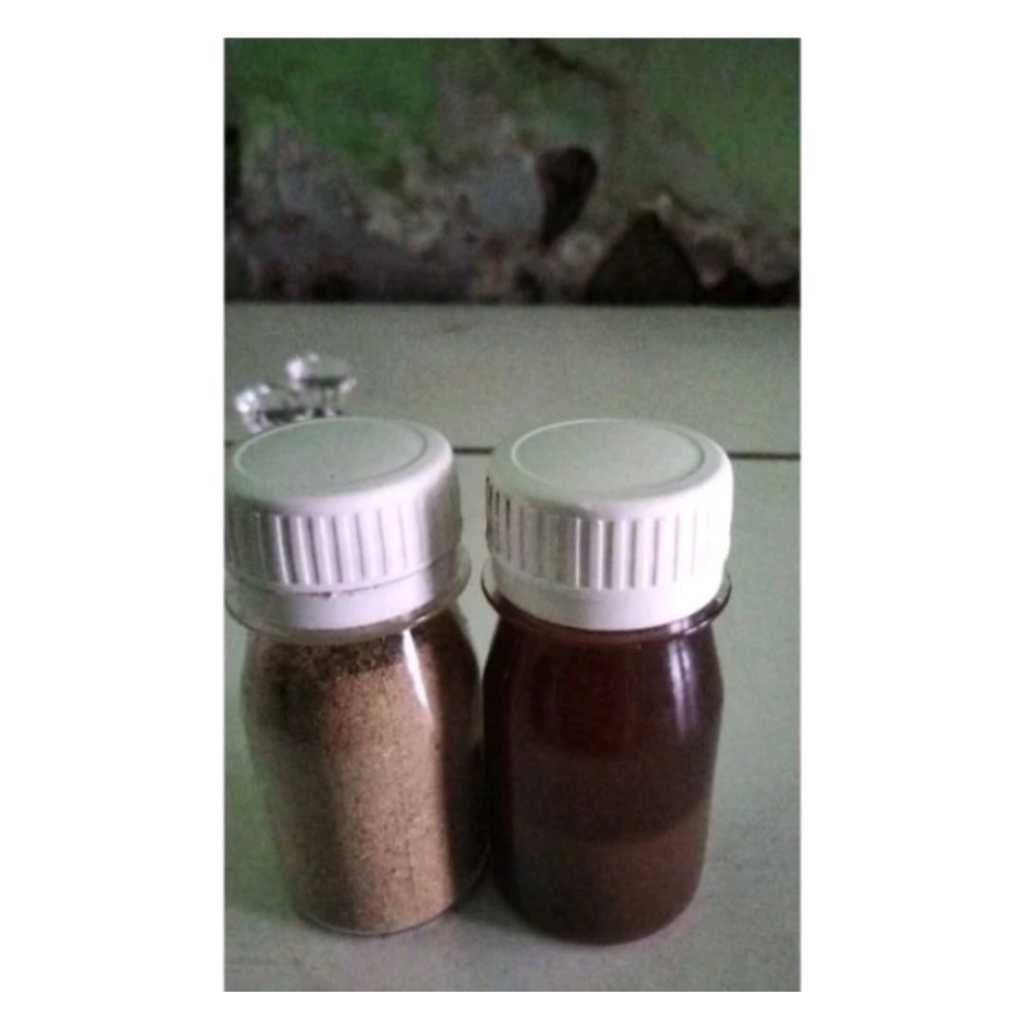 1 Paket Sadek Jangkrik Aduan Pakan Jangkrik Aduan Menjadikan Lebih Kuat Gesit Agresif Dan Garang har