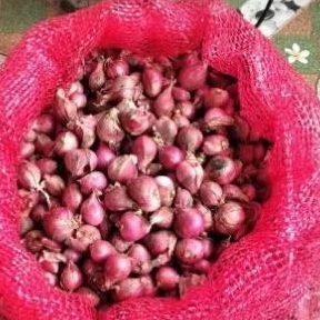 

bawang merah Brebes 1kg