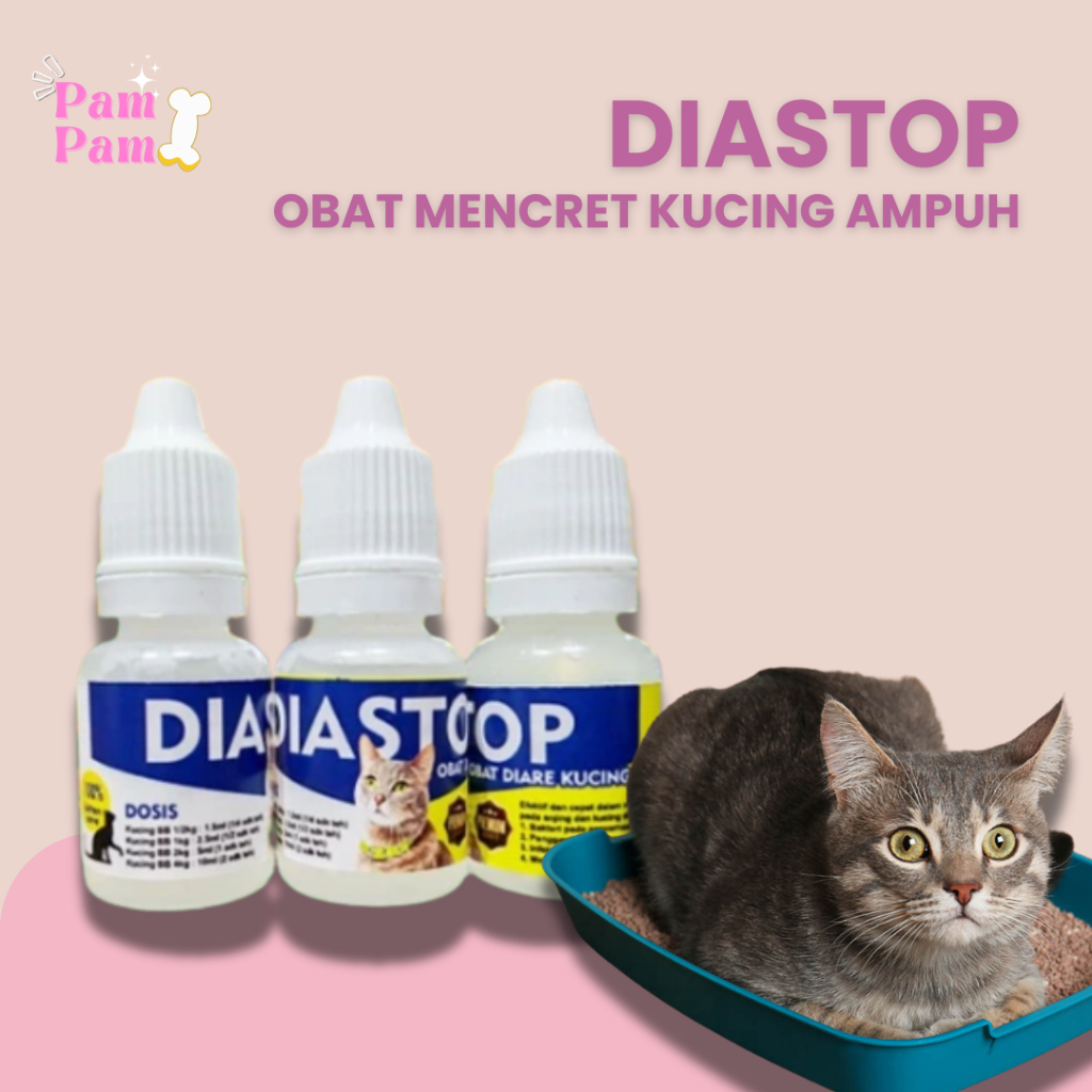 Obat Diare Cat Diastop Mencret Kucing Diastop Obat Diare Kucing Obat Berak Darah Kucing DIASTOP