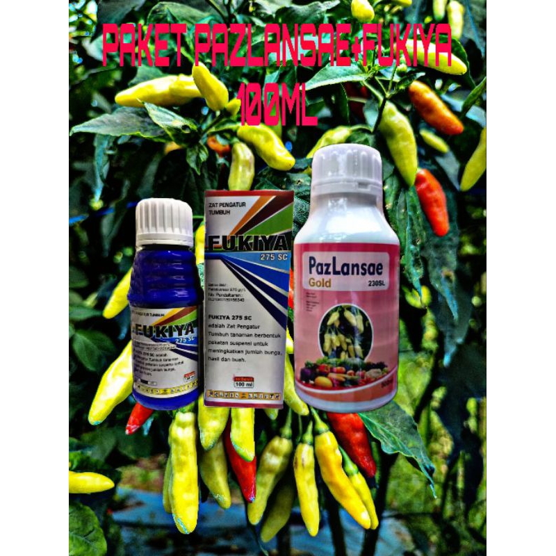 FUKIYA 100ML + PAZLANSAE GOLD 500ML nemperbanyak bunga dan mencegah rontok bunga