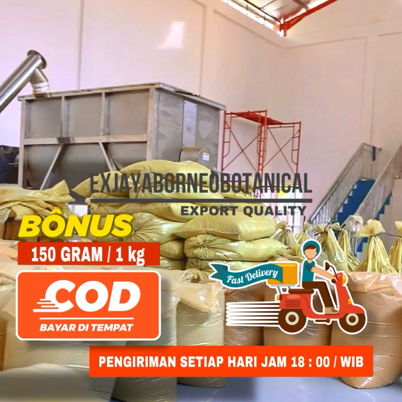 

exjayaborneo super halus original