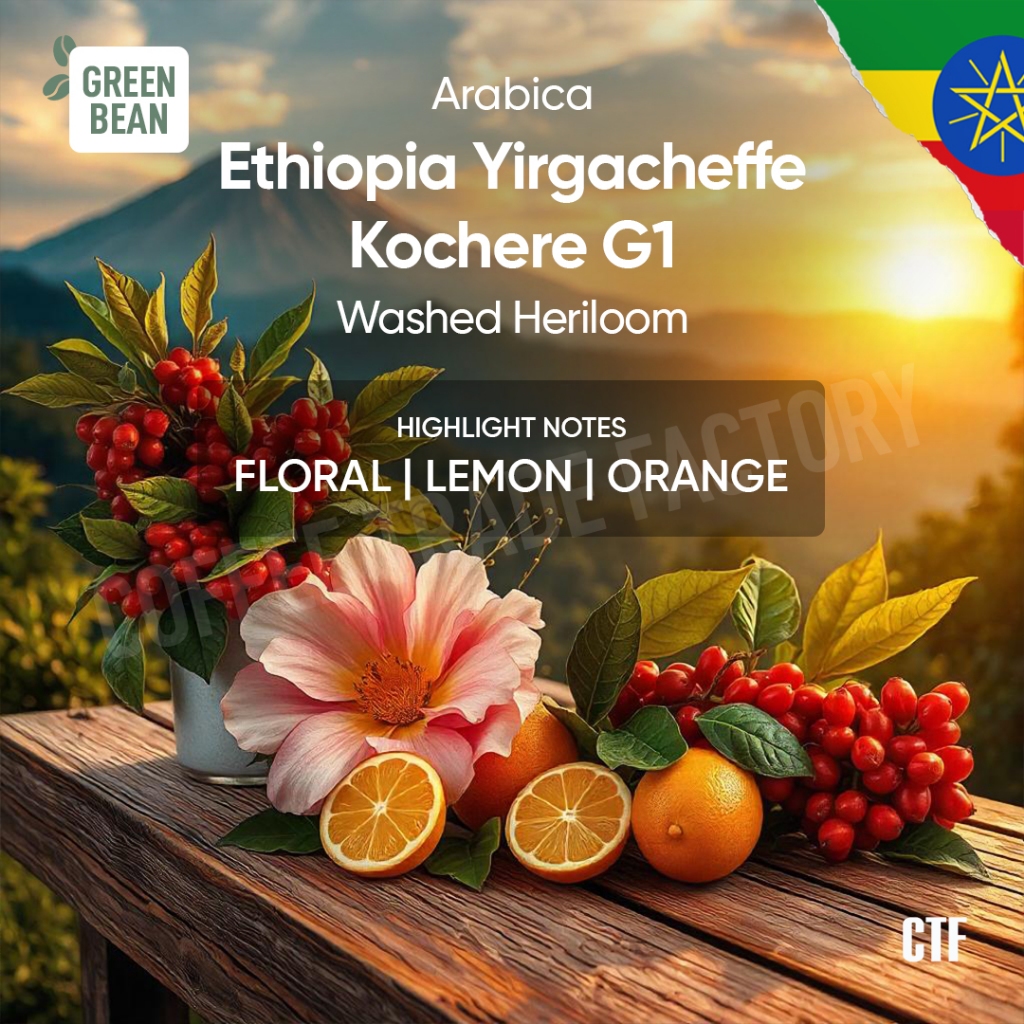 

Green Beans Arabika Ethiophia Kochere Fullwashed Heirloom / Coffee Trade Factory CTF / Green Bean Arabica ethiopia etiopia Biji kopi mentah full wash premium berkualitas greenbean specialty coffee