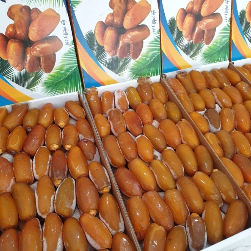 

Kurma Muda | Kurma Ruthab Terbaik, Kurma Ikhtiar Promil | Ruthob Ranuna Ember | Kurma Muda Mengkal Medan