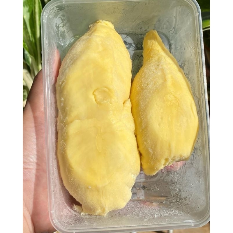 

DURIAN MONTHONG PALU 500GR