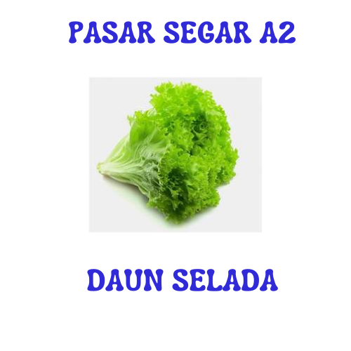 

DAUB SELADA PASAR SEGAR MAKASSAR/PASAR TERONG ONLINE MAKASSAR
