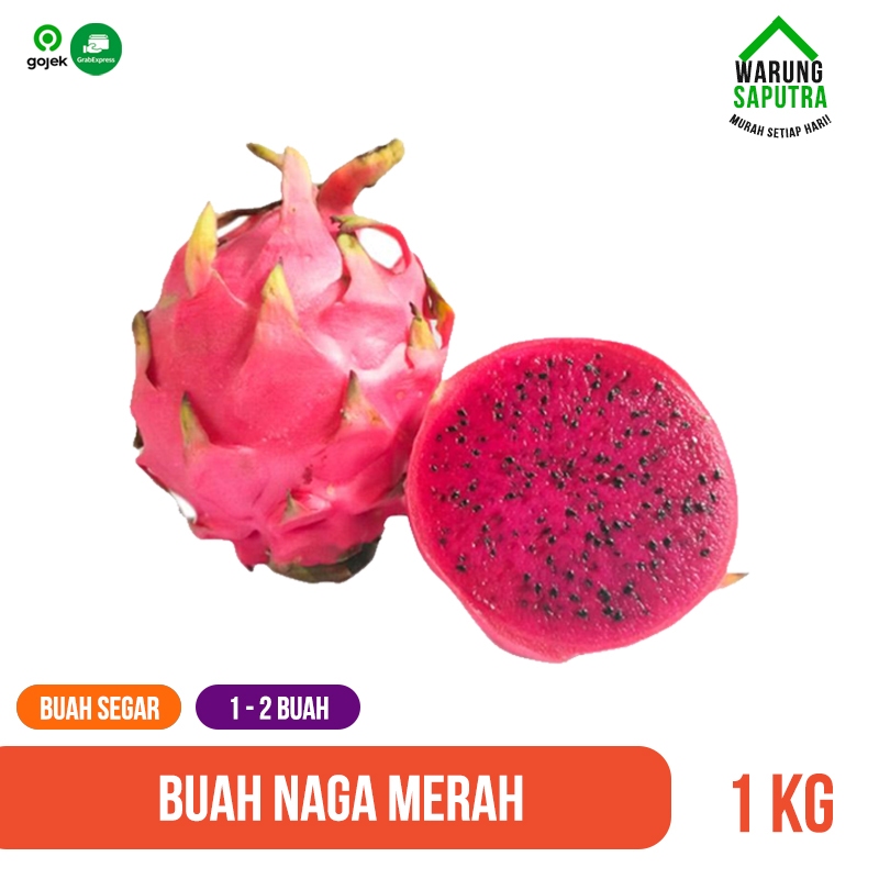 Buah Naga Merah Segar 1 kg