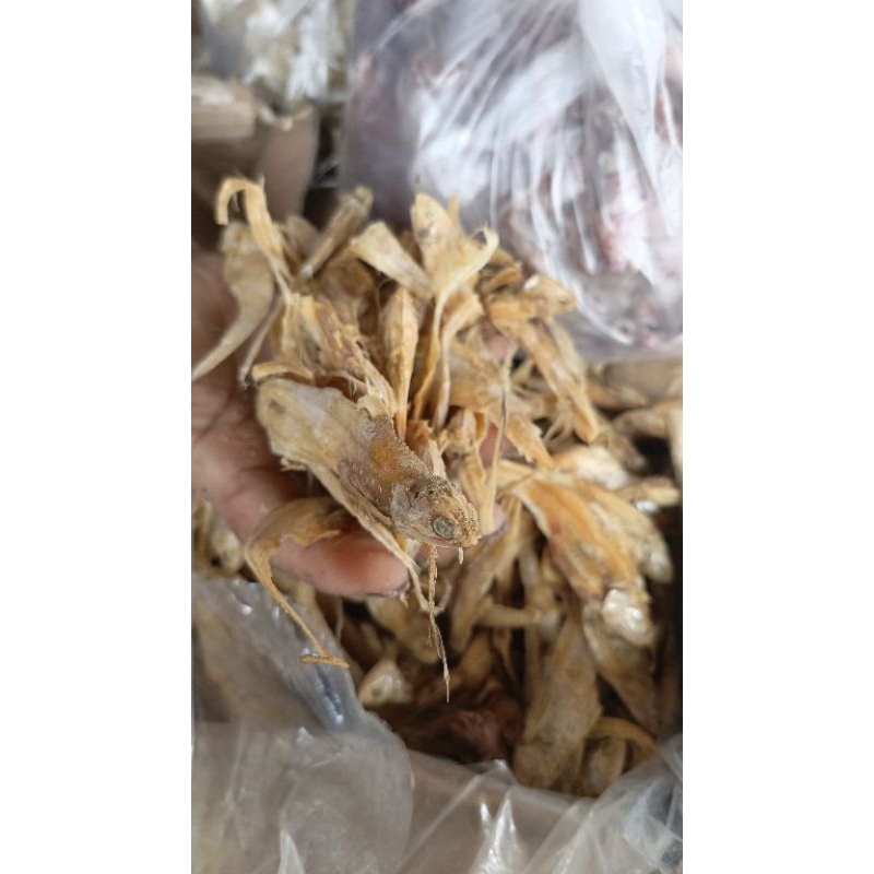 

ikan asin bulu ayam 100 gr