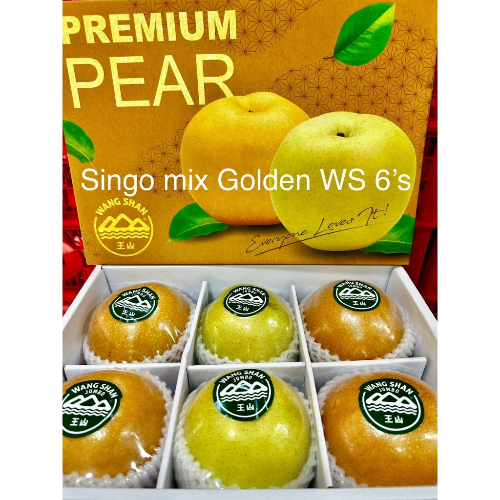 

PEAR SINGO GOLDEN WS 6S