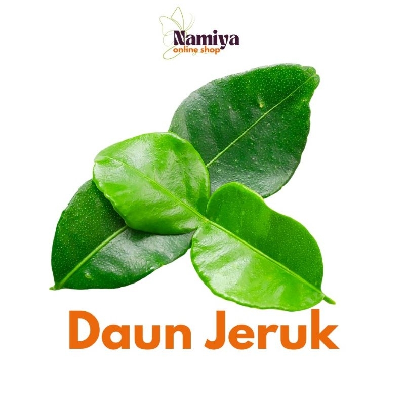 

Daun Jeruk