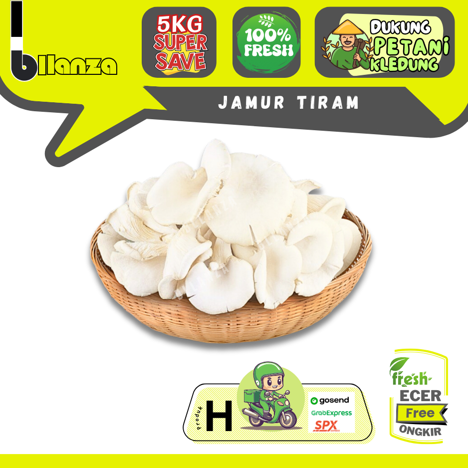 

Bllanza | Jamur Tiram — Sahabat Makan Sayur ECER (H)