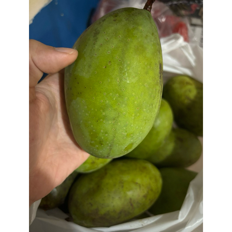 

Buah Mangga kweni harum seger 1kg