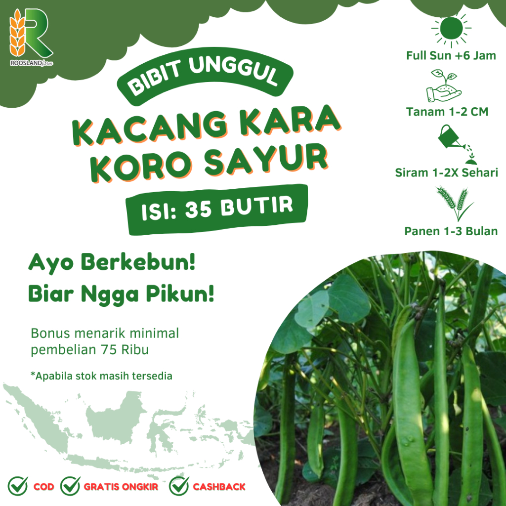 KACANG KARA-KORO SAYUR (35 BUTIR)