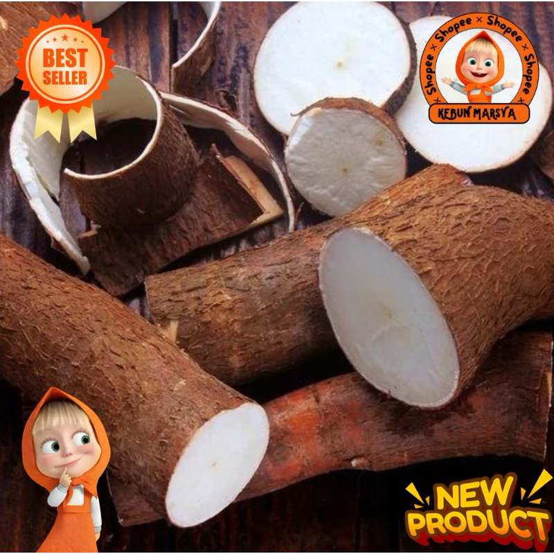 

Singkong Pulen Segar 500gram