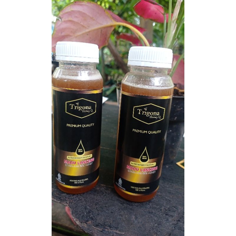 

Madu murni klanceng purehoney 100% murni