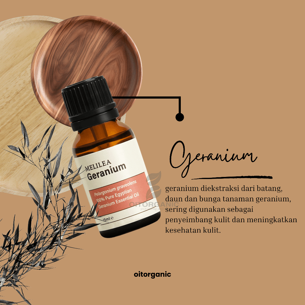 Essential Oil GERANIUM