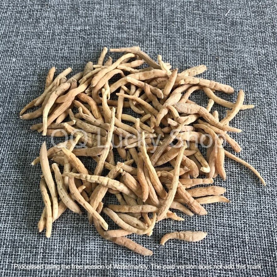 

Tai zi shen/PSEUDOSTELLARIA RADIX PSEUDOSTELLARIAE 太子参 kemasan botol