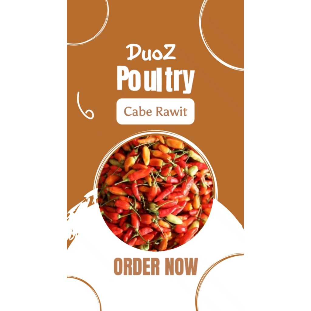 

Cabe Rawit Bumbu Dapur Murah Meriah