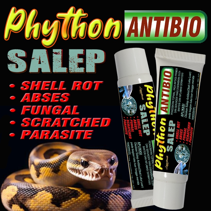 PHYTON ANTIBIO SALEP OBAT PENYAKIT KULIT ULAR PITON GTP SANCA KEMBANG CORNSNAKE MILK SNAKE DIPONG BO