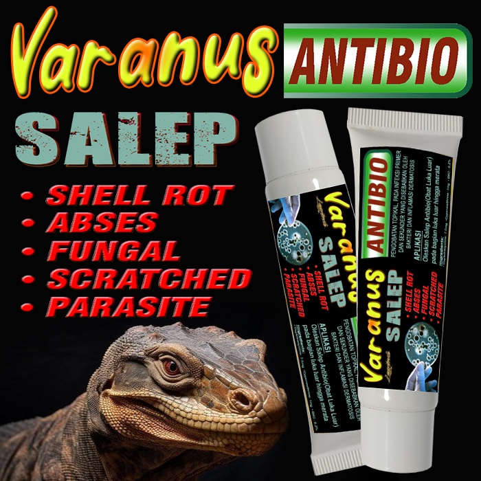 VARANUS ANTIBIO SALEP OBAT PENYAKIT KULIT MENGOBATI SHELL ROOT RUBBING JAMUR PAPILOMA PENTASTOM ABSE