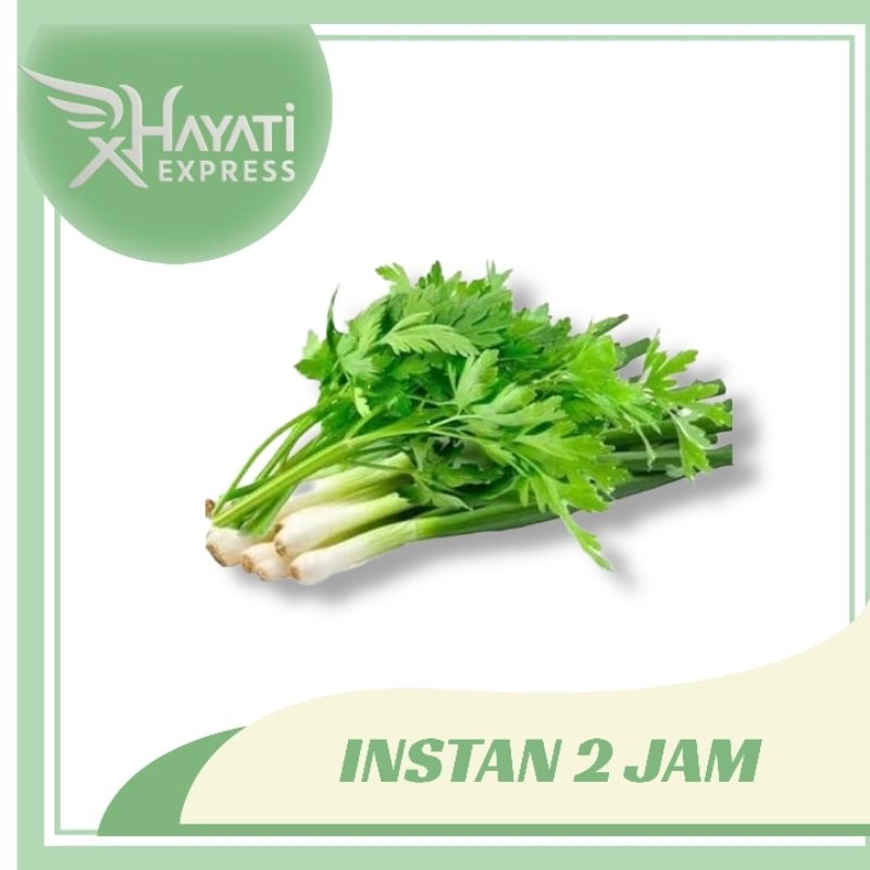 

Onclang Sledry Daun Bawang 100gr Siap Kirim Instan Semarang