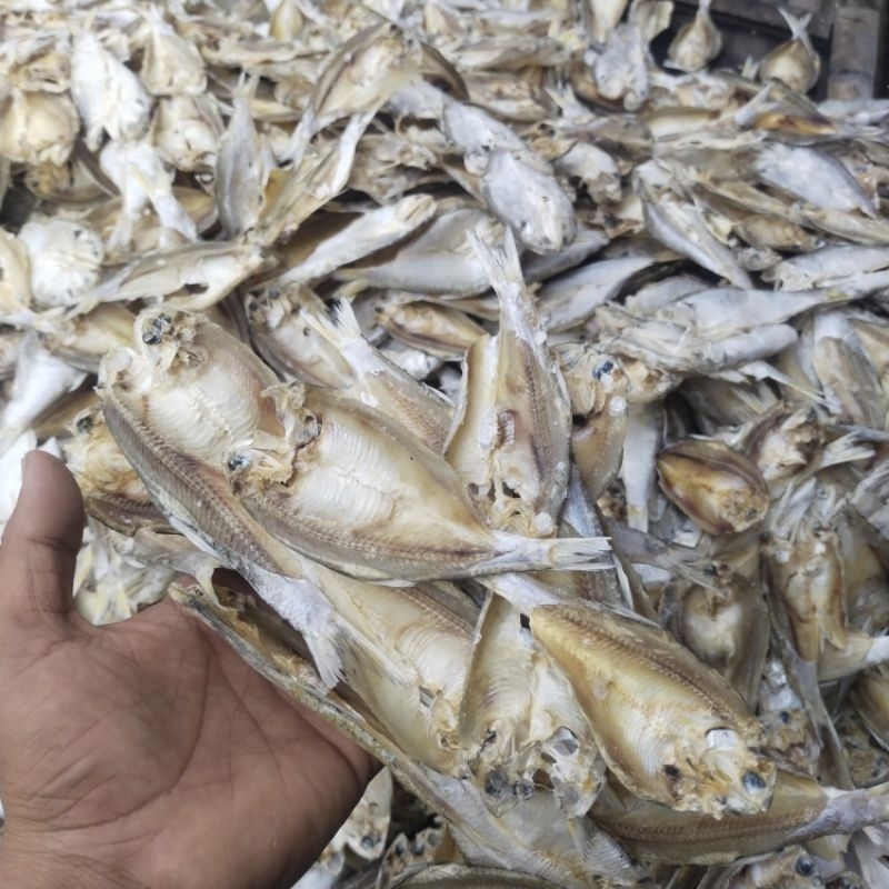 

Ikan Asin Tipis Belahan Bilis Murah 1 kg Enak Dan Gurih