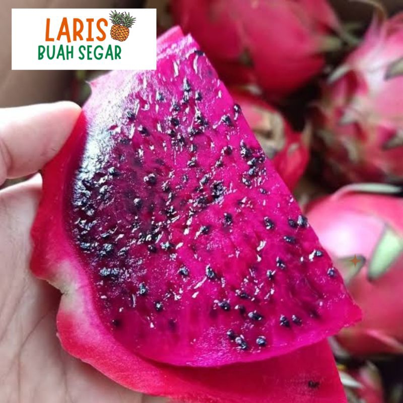 

BUAH NAGA MERAH MANIS 1KG