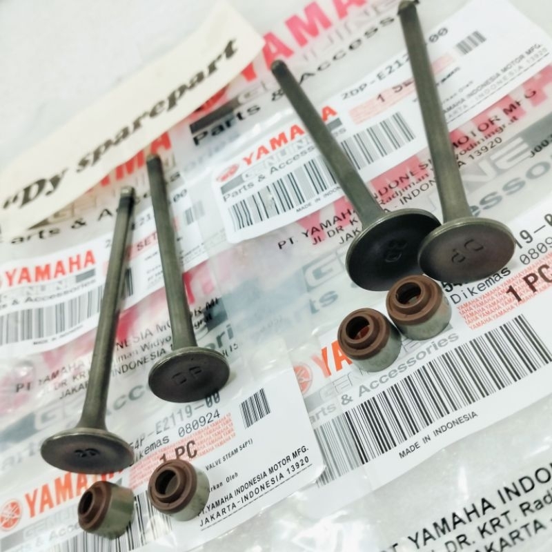 Payung klep + seal klep Nmax Aerox Lexi Klep set Nmax 2DP