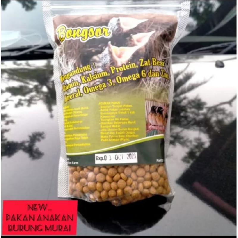 BONGSOR PAKAN BURUNG ANAKAN MURAI