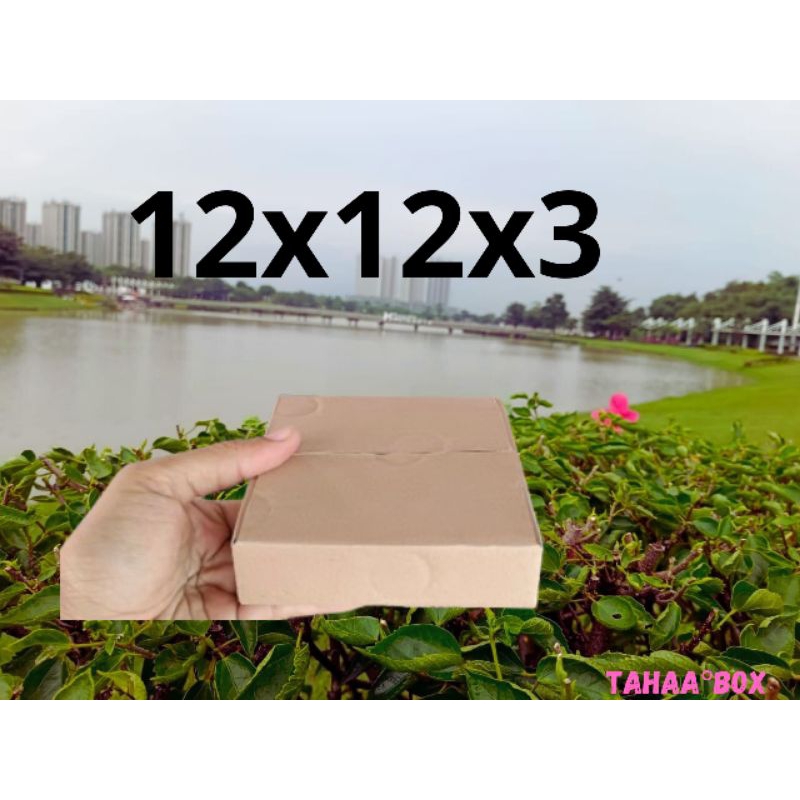 

Kardus packing uk 12x12x3