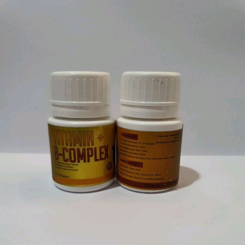 vitamin b complex burung merpati insanity isi 25 kapsul