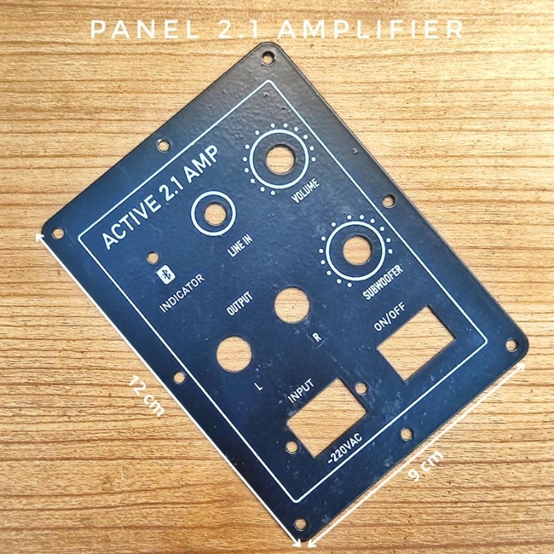 panel 2.1 Amplifier
