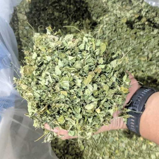 

Daun Kelor Hijau Kering Super Rempah