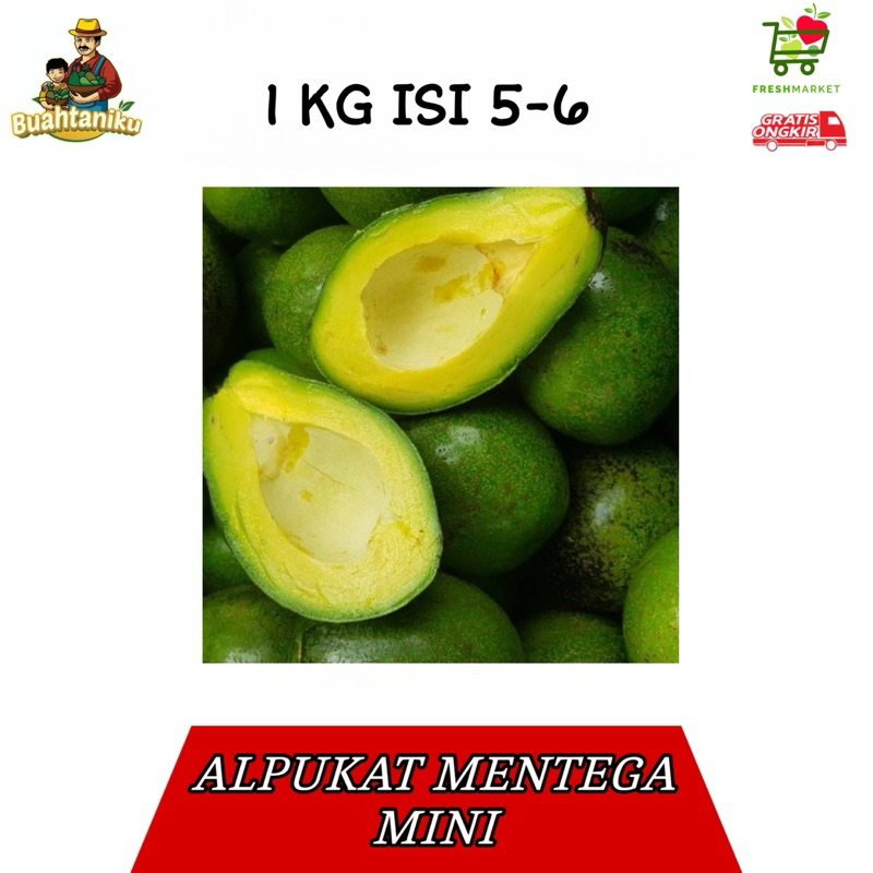 

Alpukat MENTEGA mini 1 Kg 5-6