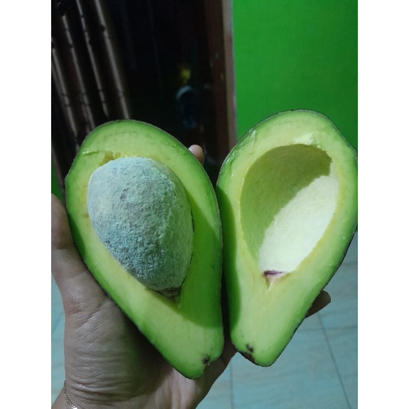 

alpukat mentega