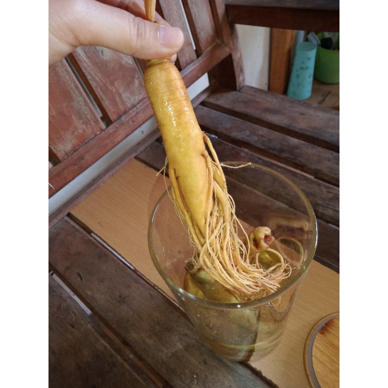 Ginseng Korea